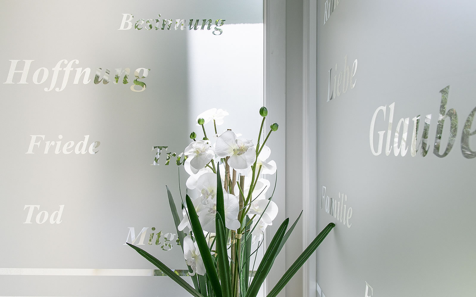 Glaswand mit Trauersprüchen, davor eine Pflanze mit edlen, weißen Blüten 